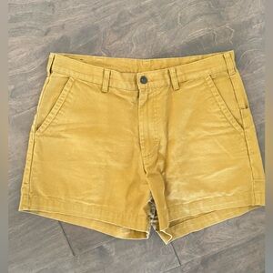 Men’s Patagonia Short - 35